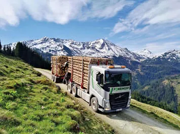 Rundholz-LKW Bild 2